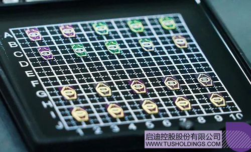 1594173202828542.jpg 4.JPG